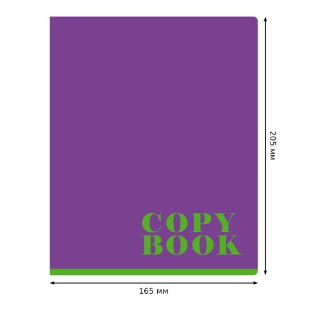 Тетрадь 48л. A5 клетка BG "Monocolor" эконом RE-Т5ск48_11018