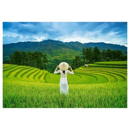 Пазл Castorland 1000 "Рисовые поля во Вьетнаме" C-105052