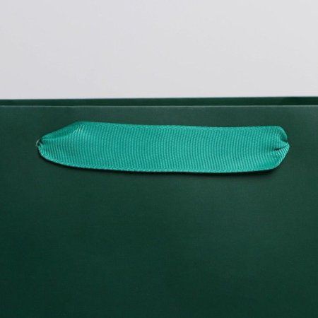 Пакет ламинированный "Изумрудный" ML 23 x 27 x 11.5 см SIM-7304179