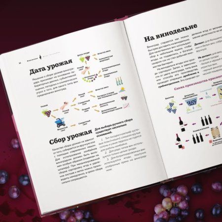 Книга: Виномания. Наглядный путеводитель по винному миру EKS-788339