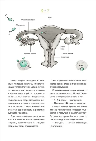Книга: Как меняется мое тело. Все, что нужно знать мальчикам о перех.возрасте ROS-41151