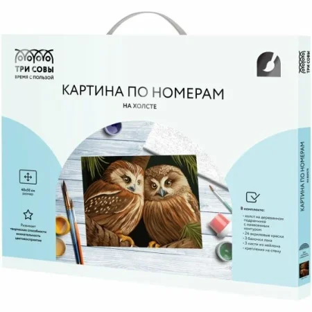 Картина по номерам на холсте ТРИ СОВЫ "Две совы" 40 x 50 см, с акриловыми красками и кистями RE-КХ4050_53927