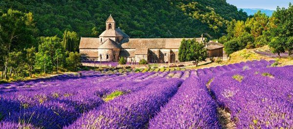 Пазл Castorland 600 Notre Dame de Sènanque, France B-060313