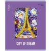 Тетрадь 48л. A5 линия BG "City dream" RE-Т5ск48 11041