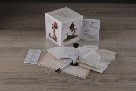 Настольная игра: Опята MAG00053