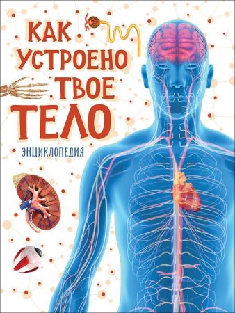 Книга: Как устроено твое тело ROS-38817