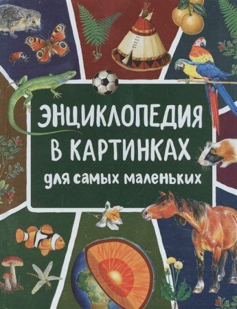 Книга: Энциклопедия в картинках для самых маленьких ROS-39029