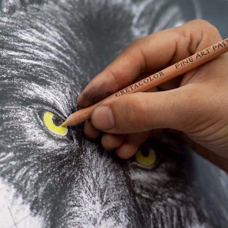 Набор для рисунков CRETACOLOR Wolf 25 предметов, мет.пенал CR91400-2602