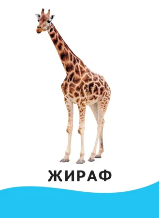 Разв.карточки. Животные (0+) ROS-20991 Разв.карточки. Животные (0+) ROS-20991