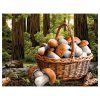 Картина по номерам на холсте ТРИ СОВЫ "Грибное лукошко" 40 x 50 см, краски, кисть RE-КХ4050_53901
