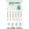 Набор маркеров для скетчинга MESHU 12 цв цветочная гамма RE-MS_38261