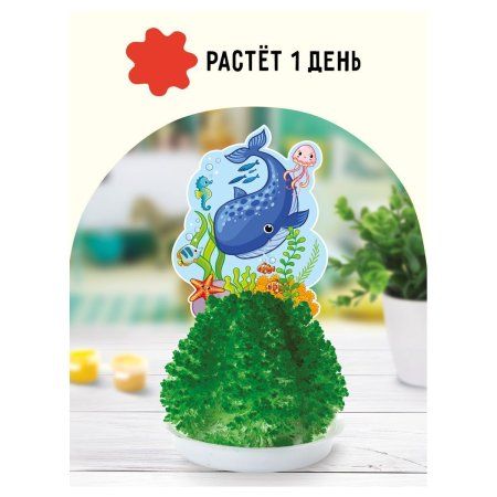 Набор для выращивания кристаллов ТРИ СОВЫ "Подводный мир" зеленый RE-ВКг_48893