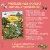 Книга: Любимые сказки. Виммельбух ROS-37943