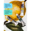Краски акриловые художественные ГАММА "Студия" 24 цв туба 18 мл картон.упаковка RE-181020224