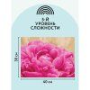 Картина по номерам на картоне ТРИ СОВЫ "Пион" 30 x 40 см, краски, кисть RE-КК_44067