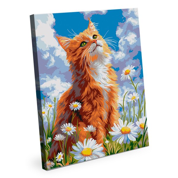 Набор для раскрашивания по номерам (холст на подрамнике) ФРЕЯ 40 х 30 см "Котик в ромашках" PNB/PM-393