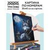Картина по номерам на картоне ТРИ СОВЫ "Предводитель стаи" 30 x 40 см, краски, кисть RE-КК_44032
