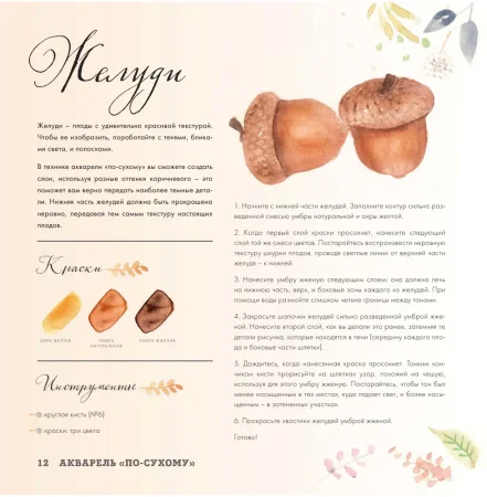 Книга Э: Рисуем акварелью: Лес и его обитатели 978-5-04-099466-3