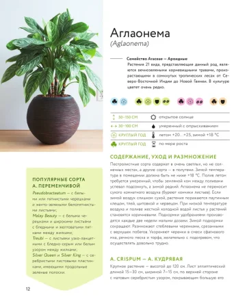 Книга: Зеленый оазис. Комнатные растения от А до Я EKS-987863