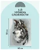 Картина по номерам на холсте ТРИ СОВЫ "Волчья мудрость" 40 x 50 см с акриловыми красками и кистями RE-КХ_44163