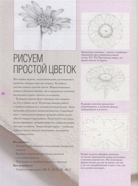 Книга: Ботаническая иллюстрация. Пошаговое руководство. От эскиза до готовой композиции EKS-001421