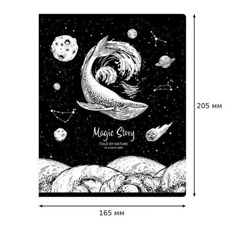 Тетрадь 48л. A5 клетка BG "Magic story" выб. лак RE-Т5ск48_вл 11079