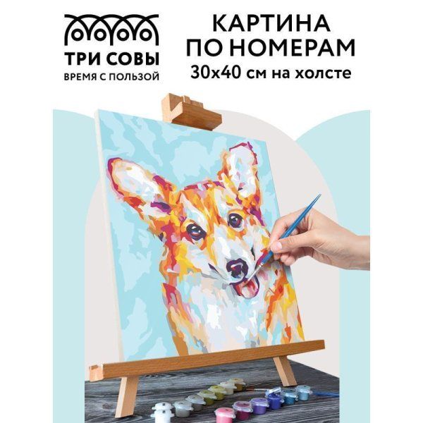 Картина по номерам на холсте ТРИ СОВЫ "Корги" 30 x 40 см с акриловыми красками и кистями RE-КХ_44101
