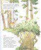 Книга: Токмакова И. Крошка Вилли Винки. Стихи (Любимые детские поэты) ROS-37401 Книга: Токмакова И. Крошка Вилли Винки. Стихи (Любимые детские поэты) ROS-37401
