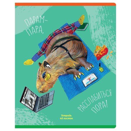 Тетрадь 48л. A5 клетка BG "Стильная капибара" RE-Т5ск48_12267