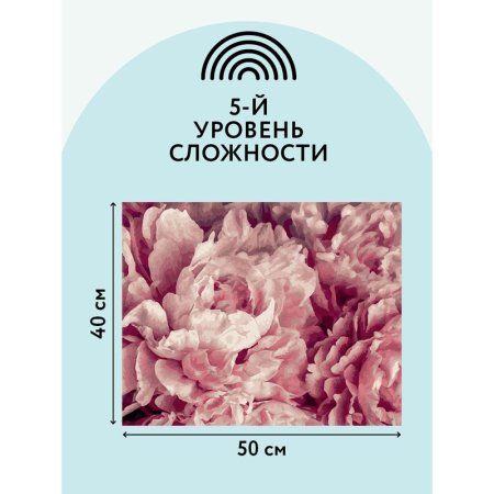 Картина по номерам на холсте ТРИ СОВЫ "Нежные пионы" 40 x 50 см, краски, кисть RE-КХ_44149