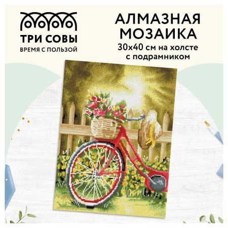 Алмазная мозаика ТРИ СОВЫ "Солнечный день" 30 x 40 см, холст на подрамнике RE-АМП3040_47587