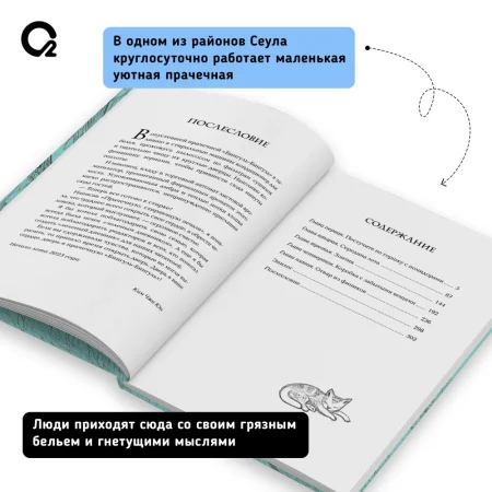 Книга: Ким Чжи Юн. Прачечная, стирающая печали ROS-42582