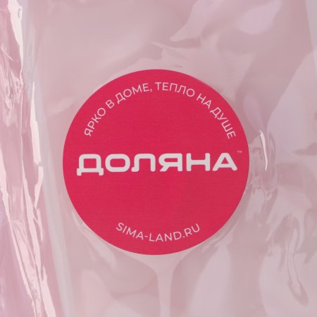 Молд силикон "Котик" 7.7 x 0.7 x 5 см прозрачный SIM-5553901