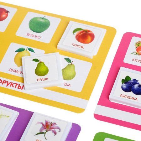 Лото "Растительный мир" по методике Г. Домана SIM-5395811 Лото "Растительный мир" по методике Г. Домана SIM-5395811