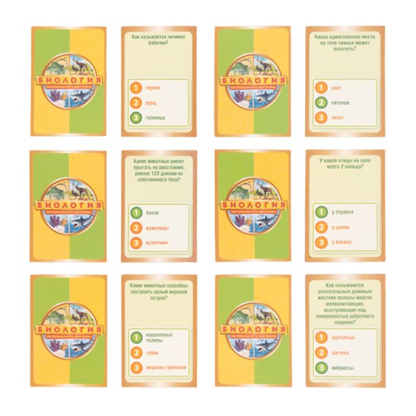 Настольная игра: Викторина Биология MAG02831