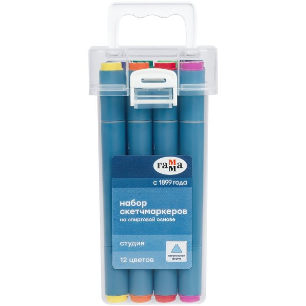 Набор двусторонних маркеров для скетчинга ГАММА "Студия" 12 цв, основные цвета, пуля/скошен, пластик кейс RE-1204P_12