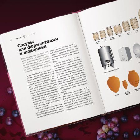 Книга: Виномания. Наглядный путеводитель по винному миру EKS-788339