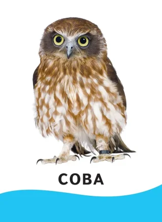 Разв.карточки. Животные (0+) ROS-20991 Разв.карточки. Животные (0+) ROS-20991