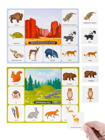 Лото "Зоопарк" большое 3+ KOR-05520