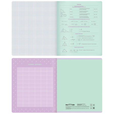 Тетрадь предметная 48л. MESHU "Duo Brush" - Геометрия, матовая ламинация, тиснение фольгой RE-MS_31287