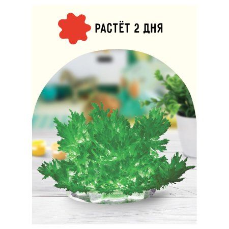 Набор для выращивания кристаллов ТРИ СОВЫ "Лучистый" зеленый RE-ВКл_48897