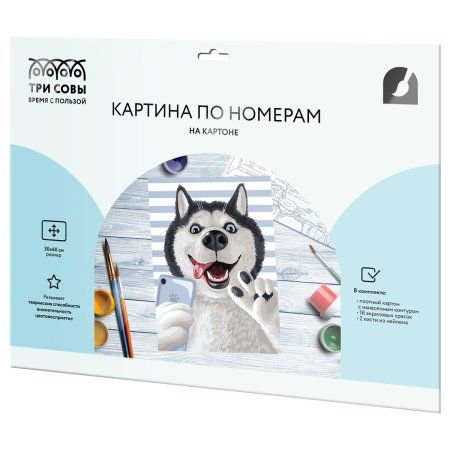 Картина по номерам на картоне ТРИ СОВЫ "Селфи" 30 x 40 см, краски, кисть RE-КК_53816