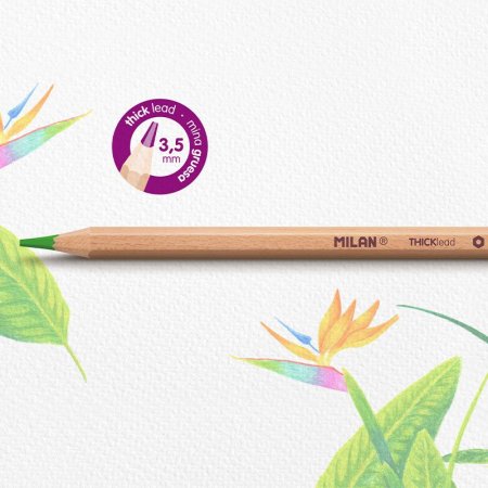 Карандаши цветные MILAN, 12 цветов, шестигранные, 3.5 мм, ML-722112 Карандаши цветные MILAN, 12 цветов, шестигранные, 3.5 мм, ML-722112
