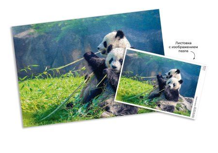 Пазл 500 элементов ФРЕЯ "Панды на отдыхе" PZL-500/51