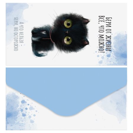 Конверт для денег MESHU "Cute kittens" 85 x 164 мм, матовая ламинация, 5 дизайнов RE-MS_65061