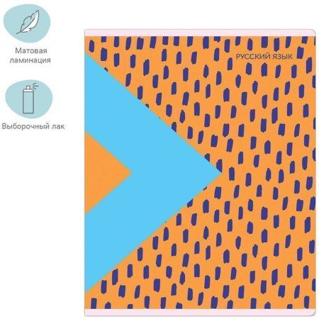 Тетрадь предметная 48л. MESHU "Bright splash" - Русский язык, матовая ламинация, выборочный УФ-лак RE-MS_42563