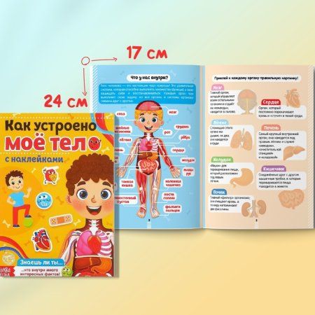 Наклейки набор "Тело человека" 2 шт по 16 стр. SIM-4859821