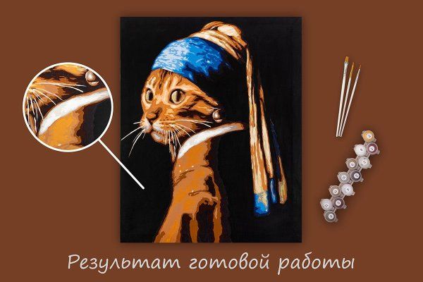 Набор для раскрашивания по номерам (холст на подрамнике) ФРЕЯ 50 х 40 см "Кошка с жемчужной сережкой" PNB/PL-234