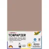 Тонированная бумага FOLIA 130 г/м², 50×70 см, 1 лист, капучино FL-6773