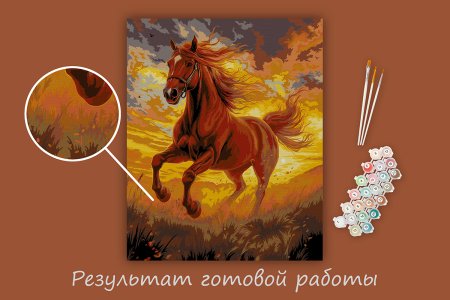 Набор для раскрашивания по номерам (холст на подрамнике) ФРЕЯ 50 х 40 см "Конь в лучах солнца" PNB/PL-326